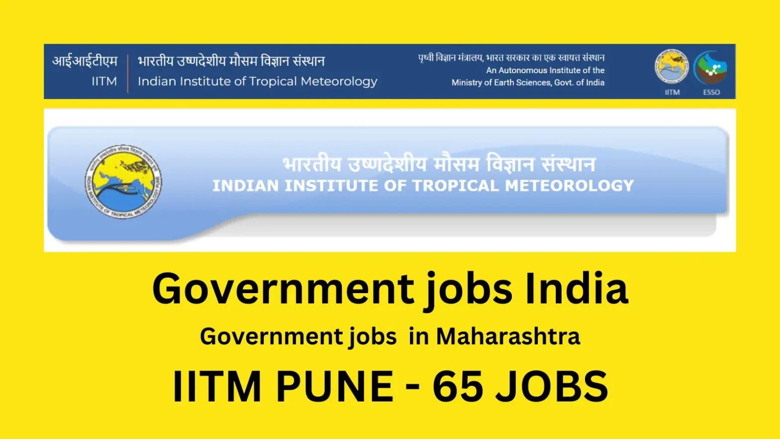 GOVERNMENT JOBS AFTER BSC