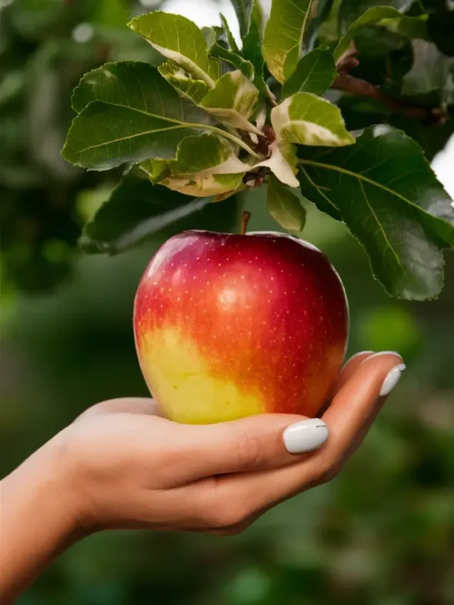 Discover the Top 10 Health Benefits of Eating an Apple.